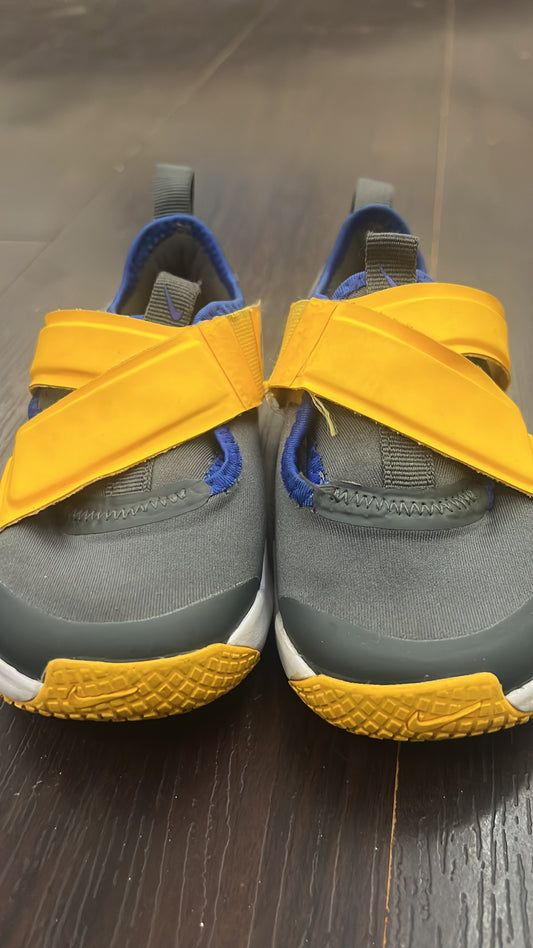 Nike Boy's Flex Shoes