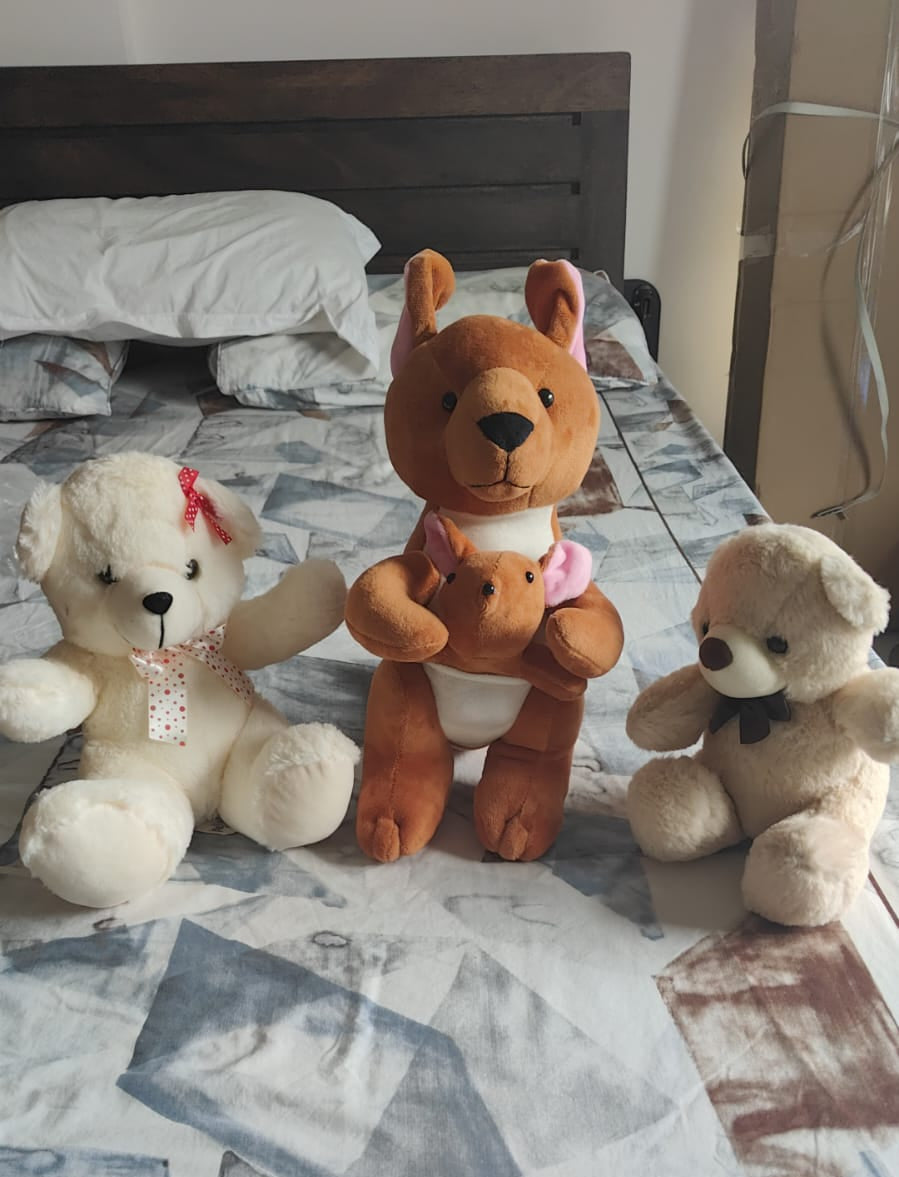 Cute Plush Soft Toys - Brand New