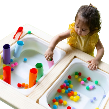 Curious Cub Sensory Table