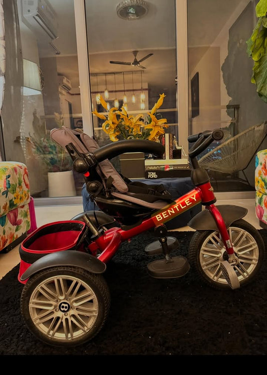 Bentley 6-in-1 Baby Stroller/Tricycle/Kids Trike with Bag