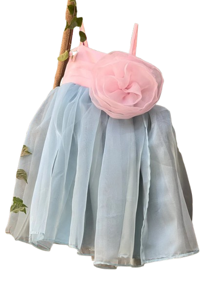 Elsa Roze Organza kids frock