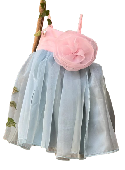 Elsa Roze Organza kids frock
