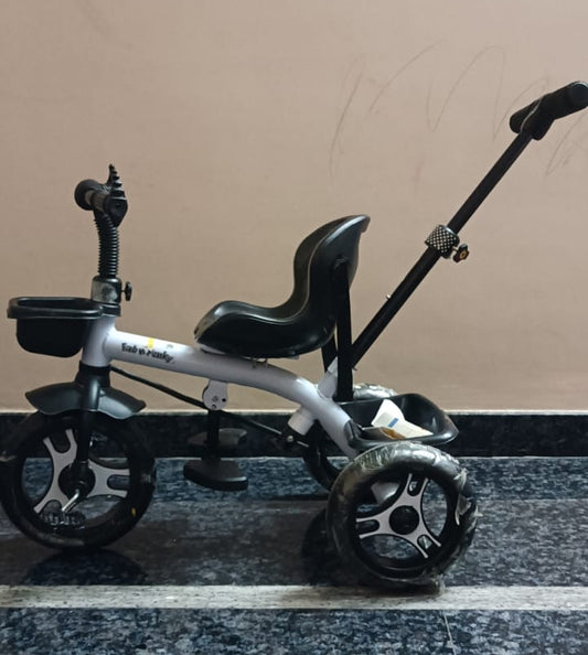 Plug Play Tricycle With Parental Push