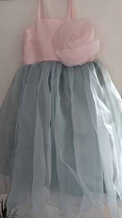 Elsa Roze Organza kids frock