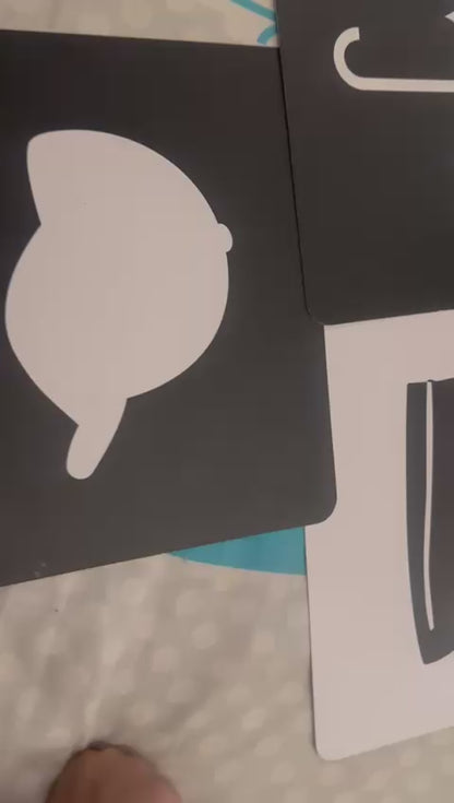 Brainsmith Flash Cards for New born - Objects
