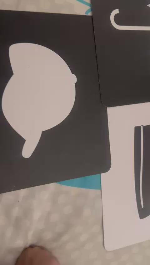 Brainsmith Flash Cards for New born - Objects